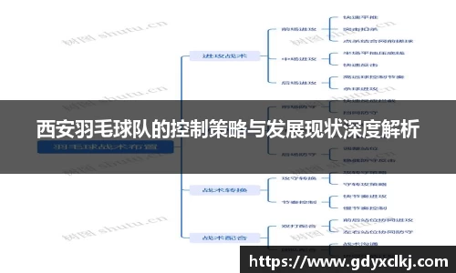 西安羽毛球队的控制策略与发展现状深度解析