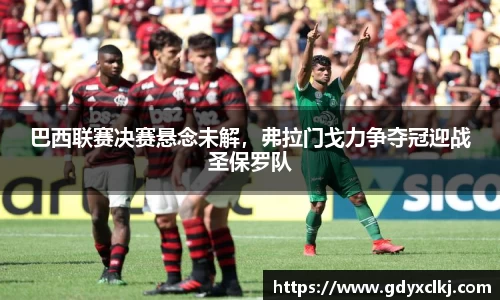 巴西联赛决赛悬念未解，弗拉门戈力争夺冠迎战圣保罗队