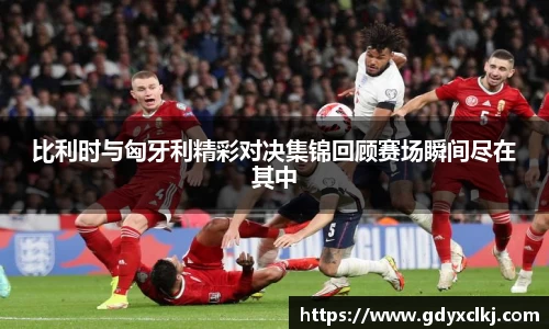 比利时与匈牙利精彩对决集锦回顾赛场瞬间尽在其中
